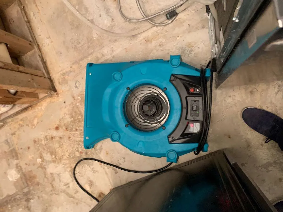 Air mover drying equipment for Mold Remediation & Removal in Nicholasville