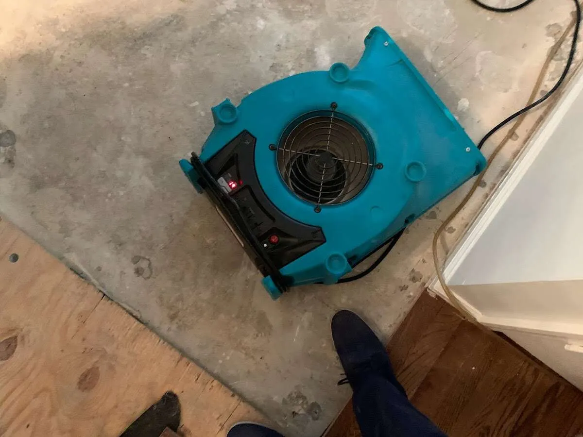 Air mover drying subfloor during Commercial Water Damage Restoration in Nicholasville